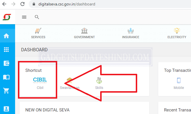 CSC CIBIL Credit Score