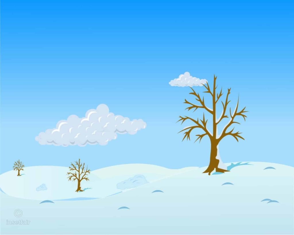 Seasons in India 2022: type of weather is there in India, All State