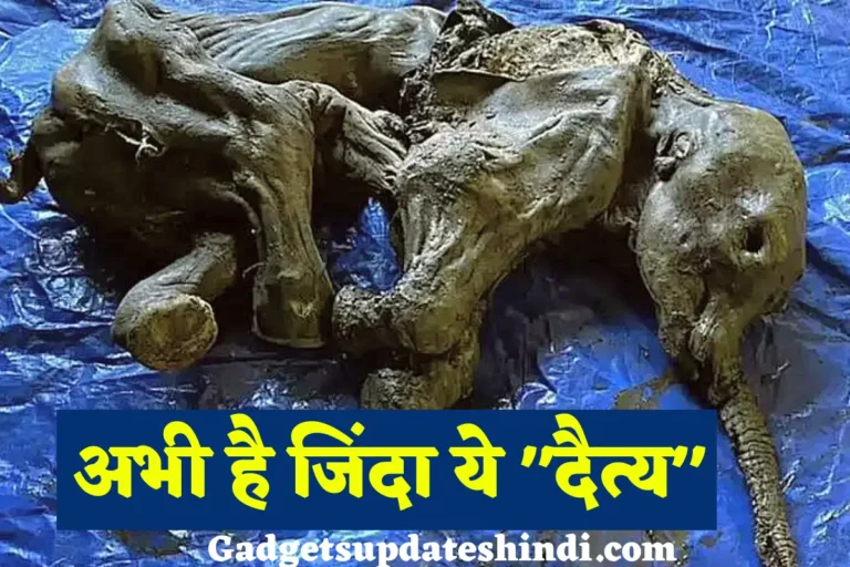 Discovery of Mummified Baby Mammoth 2022