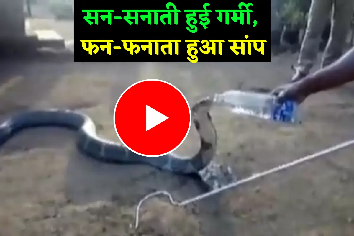 The policemen quenched the thirsty king cobra
