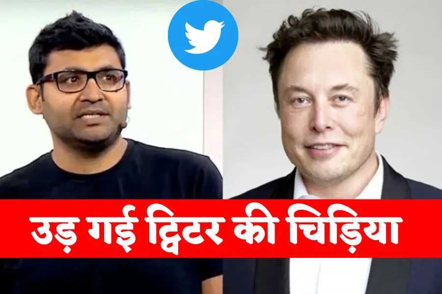 Elon Musk On Parag Agrawal 2022