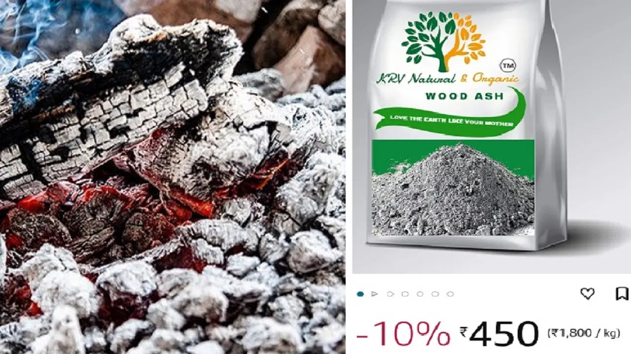 Wood Ash Price On Amazon