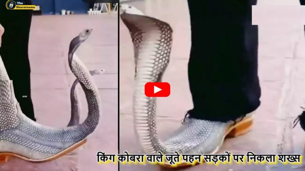 king cobra shoes viral video