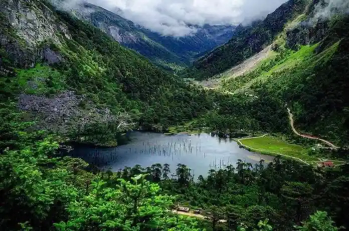 World Wildlife Day Arunachal Pradesh