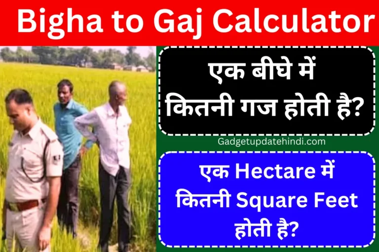 how many yards are there in one bigha