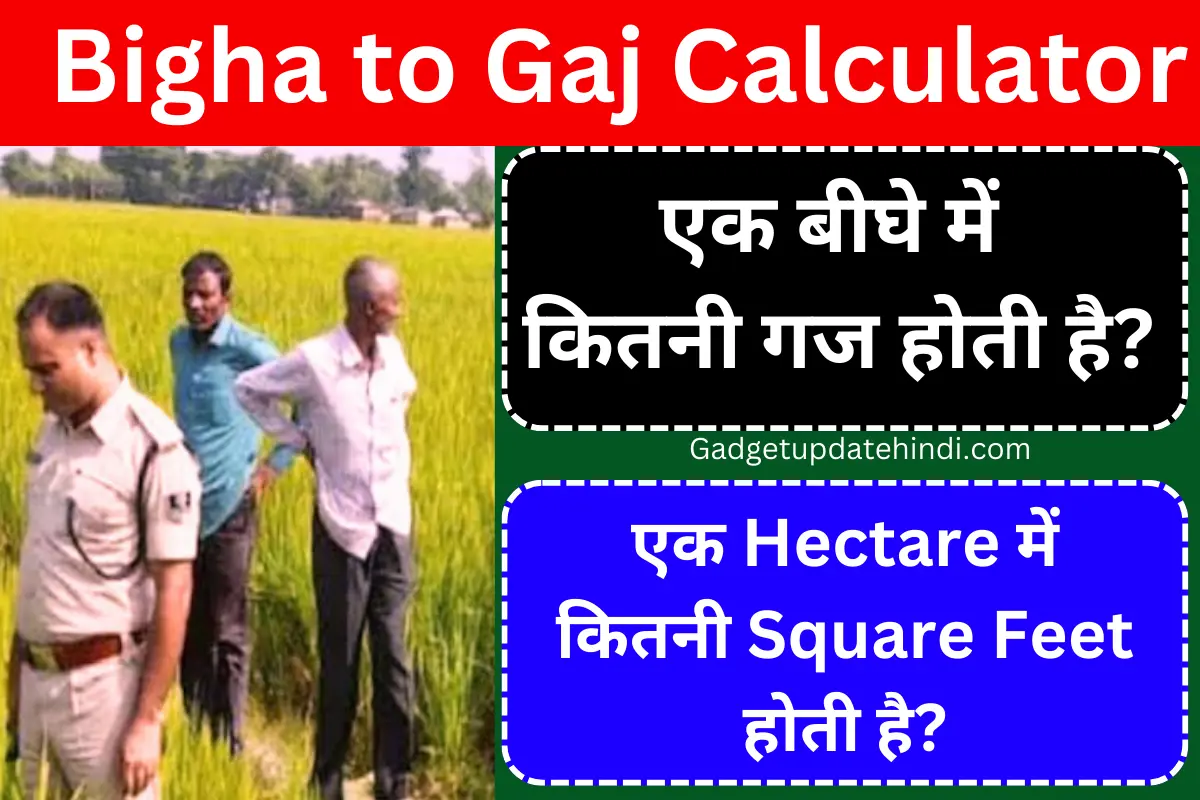 how many yards are there in one bigha